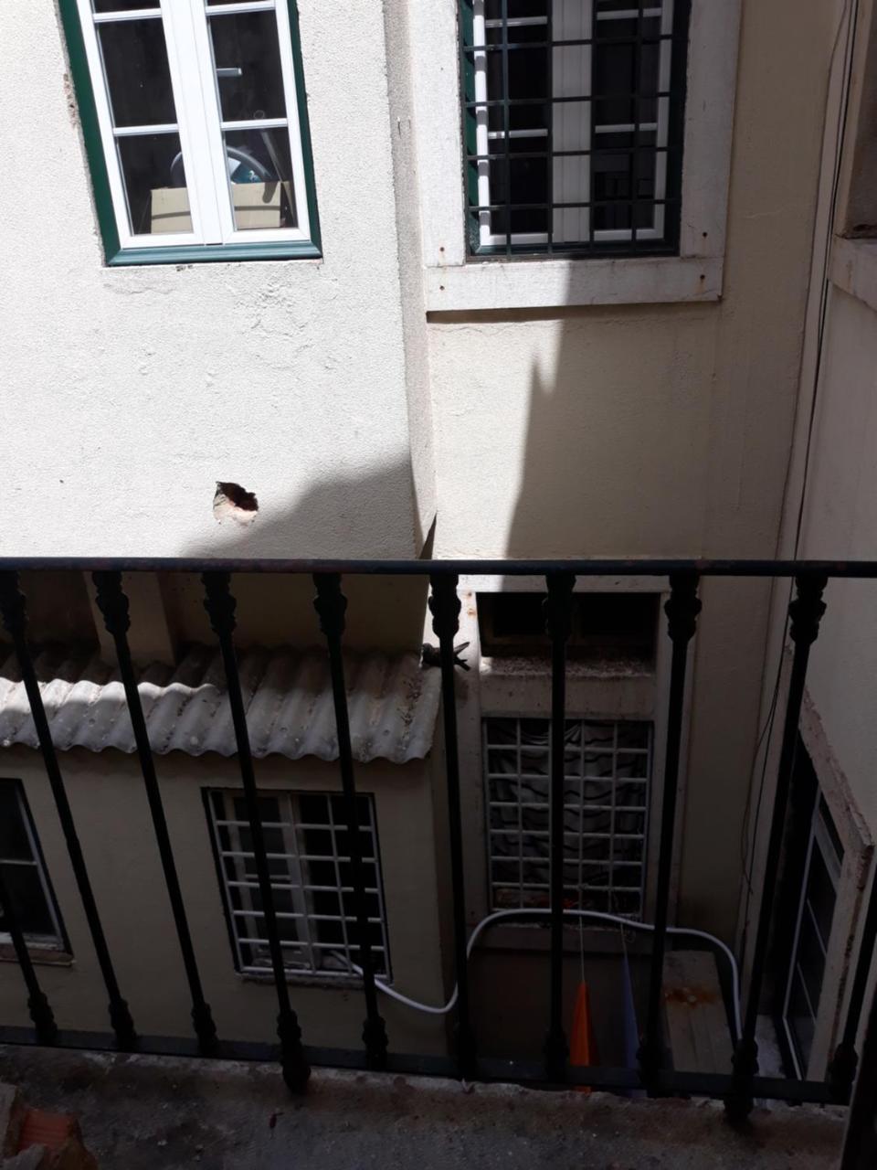 Lisbon Design Hostel Eksteriør billede